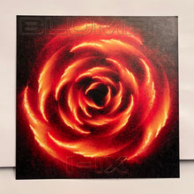 Lade das Bild in den Galerie-Viewer, "Blumen I-IX" (Albumcover, Downloadcode, Blumensamen-Papier)